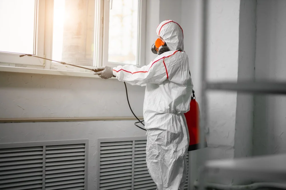 Professional mold remediation services in Marengo, IL